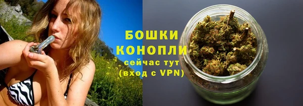 гидропоника Абаза